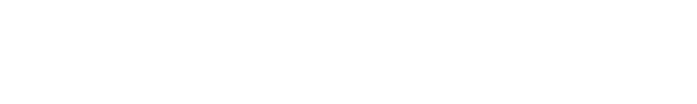 Louisiana Now logo horizontal